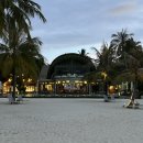 몰디브 | 몰디브 아웃리거 마푸시바루 F&amp;B : Artisan 후기