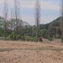 들녘식당 이미지