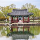 궁남지 문화관광해설사 | 충청도 봄꽃 명소 부여 4월 여행지 궁남지 개나리 구경