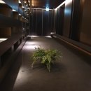 오월호텔(OWALL HOTEL) | 호캉스 오월호텔 역삼