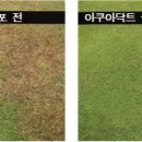 영안엔지니어링주 이미지