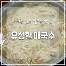 유성환경산업 | 대전은 역시 칼국수! 노은동 &#39;유성할매국수&#39; 방문기