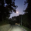 이일레민박 이미지