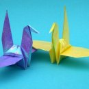 국가공인ITQ엑셀자격증 이미지