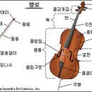 첼로 - 강북구 도봉로87길 7 | 첼로
