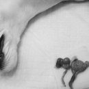 아진동물병원 이미지