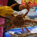 54번중도매인