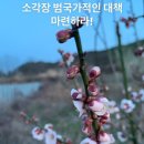 함손