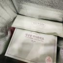 소보루 | 대전 성심당 망고시루 후기 튀김소보루 형제세트까지 솔직리뷰