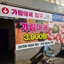 가람대패