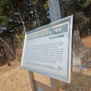 부엉덤이 Daum카페