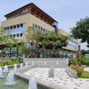 대구광역시 서구청 이미지