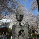 신치현 상록수 이미지