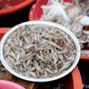 바다와갯벌 이미지