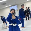 칼슨그레이시불당주짓수