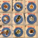 GS더프레시 대치사거리점 | 포항 양덕 맛집 한 접시 2,200원 프리미엄 회전초밥 스시노칸도 내돈내산 후기