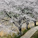 합천호회양관광단지 이미지