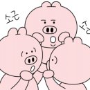 친정집민박 이미지