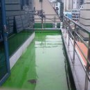 상록회관 뒷편 이미지