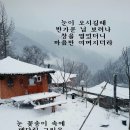 전남민박 이미지