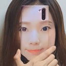 케이스샷
