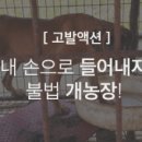 손의개농장 이미지