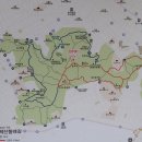 봉제산 오리나무쉼터 | 용왕산 봉제산 우장산(2025.10.13)가을비가 장맛비처럼 내렸지만 나름 분위기가~