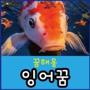 잉어 - 영천시 시장로 65 | 잉어