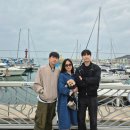 제부도해상케이블카 주식회사 이미지