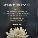보람상조피플(주)