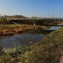 탄천 연원마을 이미지