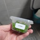 나는뽑기왕 이미지