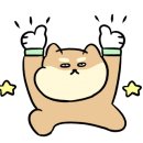 깐부치킨 춘천온의롯데캐슬점 이미지