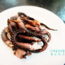오채통건어물 | 찡오언니 부천점 구운꼬마뚱찡오