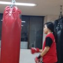 데이빗 복싱체육관 이미지