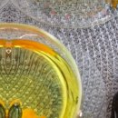 카페 포카오 이미지