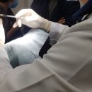(주) 케어이즈