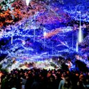 마음꽃하우스 민박 이미지