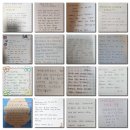 주식회사 다모아 | 감사의 후기💕구세군희망나누미💕쇼핑팩토리,주식회사 도비즈,다모아