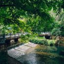 (주)엔터버드 이미지