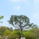 석화촌 이미지