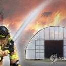 불은농장 이미지