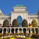 임실치즈테마파크1 이미지