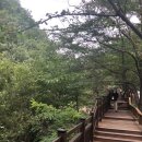 고견사등산로 화장실 | [경남합천,가조 계곡] 고견사 근처 계곡 추천