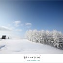 만발목장 이미지