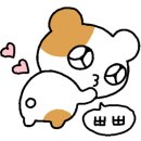 지완이네우연닭갈비 이미지