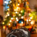 주식회사 프레임 | 풀프레임 미러리스 카메라 캐논 EOS R6 Mark3 여행용 카메라 추천