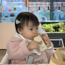키즈쿠아 | [김포 풍무동] 쥬쿠아 후기｜아기랑 다녀온 키즈카페, 동물카페
