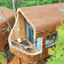 트리하우스 이미지