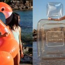 포레포레 이미지